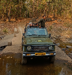 Safari jeeps in India