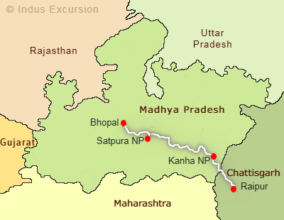  Wildlife tour package