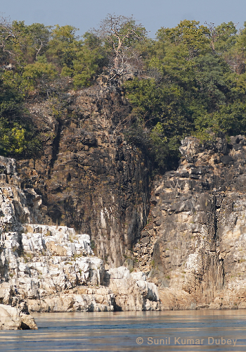 Bhedaghat in Jabalpur 
