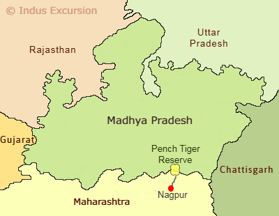  Madhya Pradesh tour package