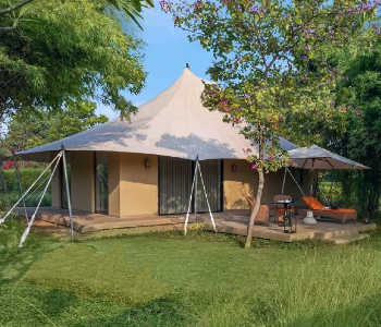 Best time to visit Bandhavgarh