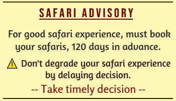 Panna national park safari advisory
