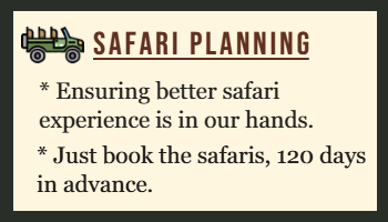Madhya Pradesh safari timings