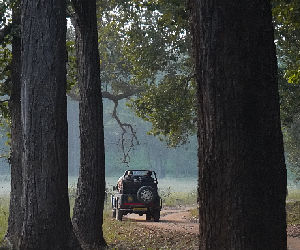 Pench vs Satpura national park