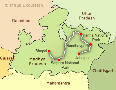 Big cats tour