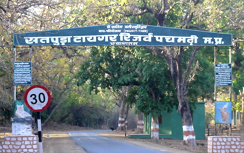 Panaarpani Zone in Satpura National Park