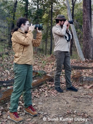 Wildlife Photography Special