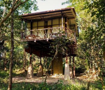 Kanha Jungle Camp - Elevated Cottage Outside