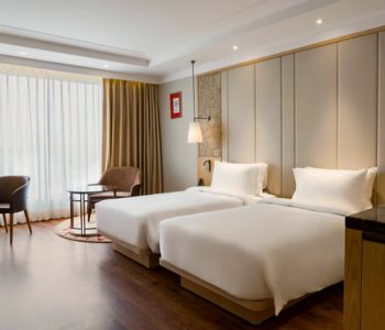 Radisson Hotel Superior Room