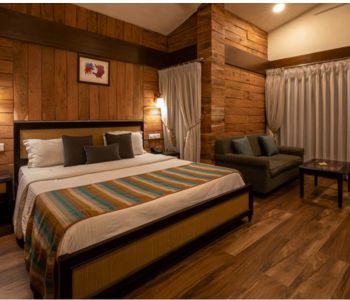 MPT Jungle Camp Room