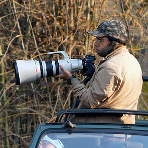 Tadoba - Pench National Park