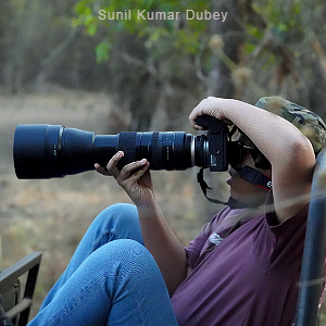 Photogenic Kanha Satpura Tour